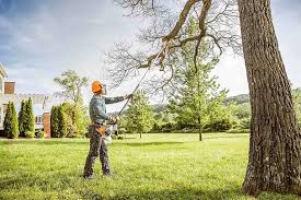 Reliable Houserville, PA Tree Services Solutions